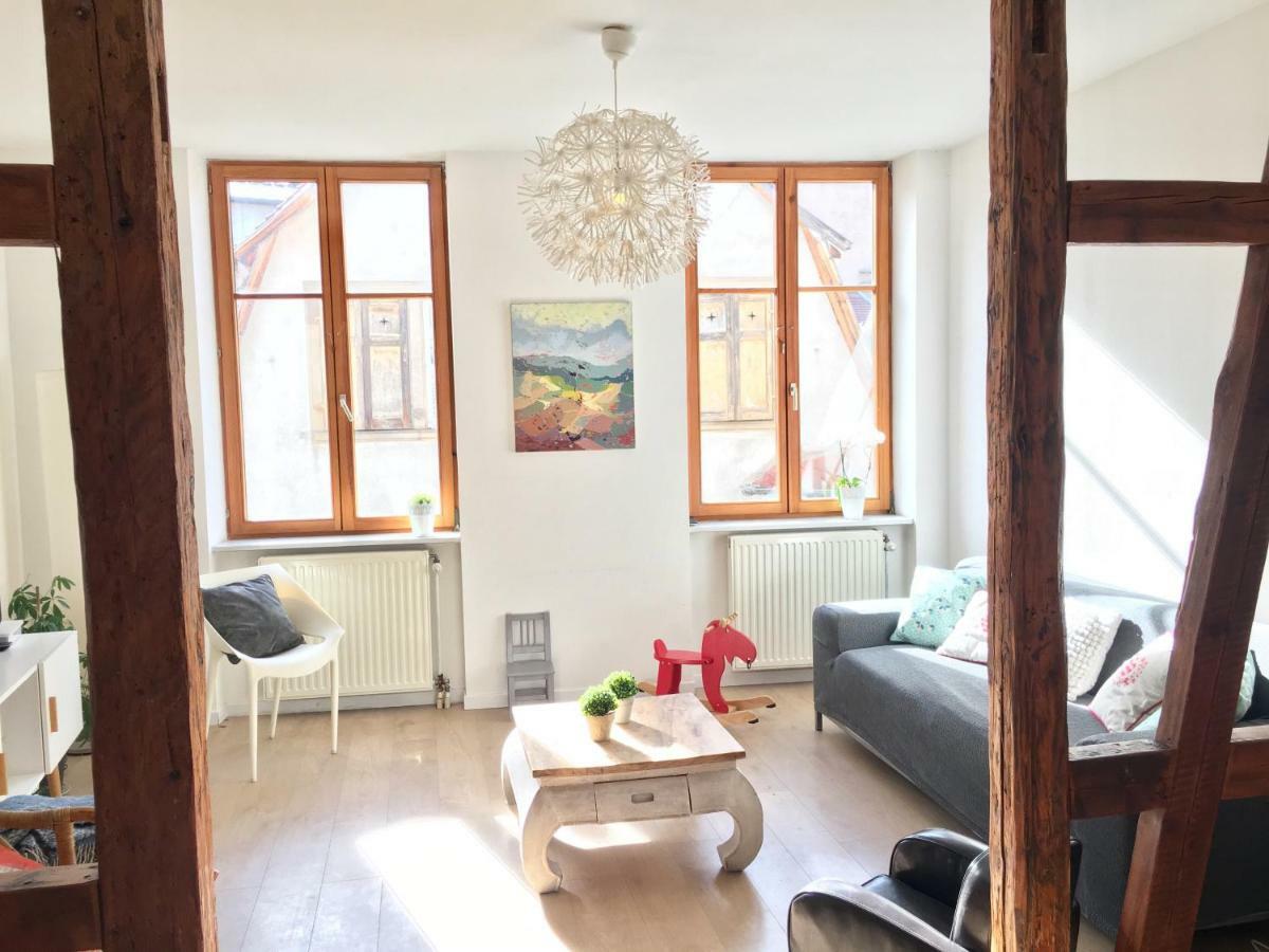 Gite Atelier De Hansi - Colmar Centre Dış mekan fotoğraf
