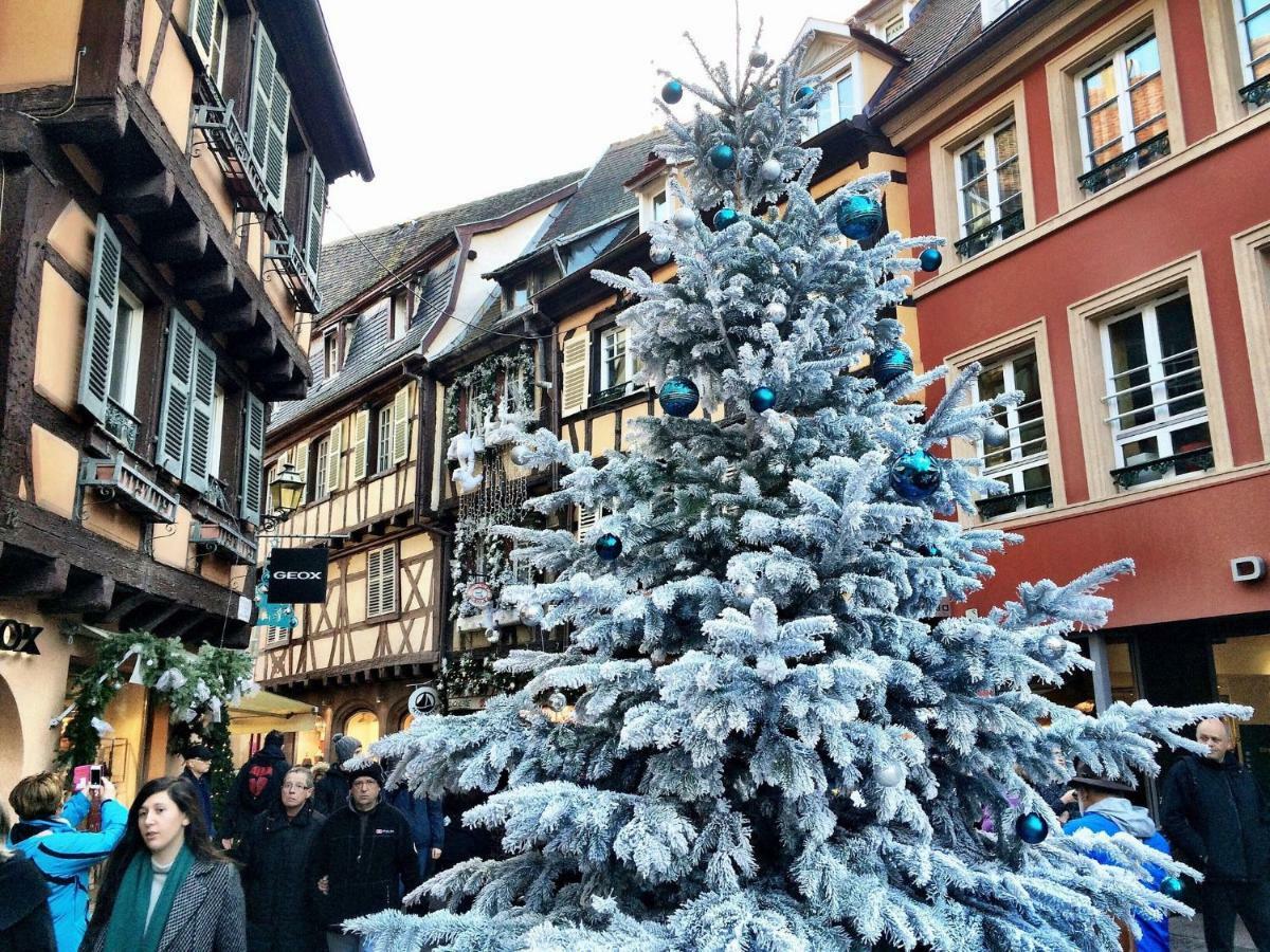 Gite Atelier De Hansi - Colmar Centre Dış mekan fotoğraf