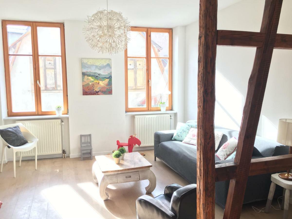 Gite Atelier De Hansi - Colmar Centre Dış mekan fotoğraf